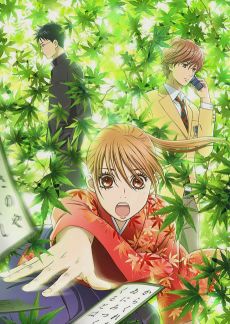 https://anidrive.me/series/chihayafuru/