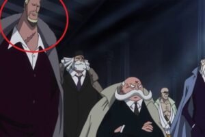 Teori: Apa Penyebab Bekas Luka di Tubuh Gorosei One Piece?