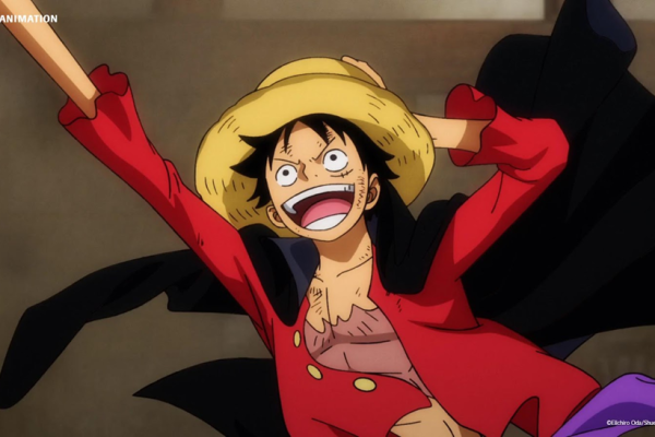 Profile of Monkey D. Luffy, the Future Pirate King in One Piece!