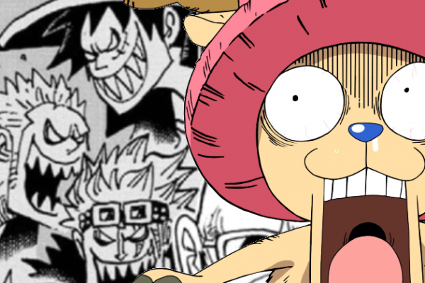 Still Pirates, These Are 10 Crimes of the Straw Hat Crew in One Piece